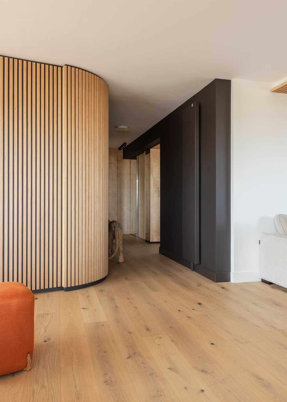 Agencement sur mesure en contreplaqué bouleau dans le salon de l'appartement