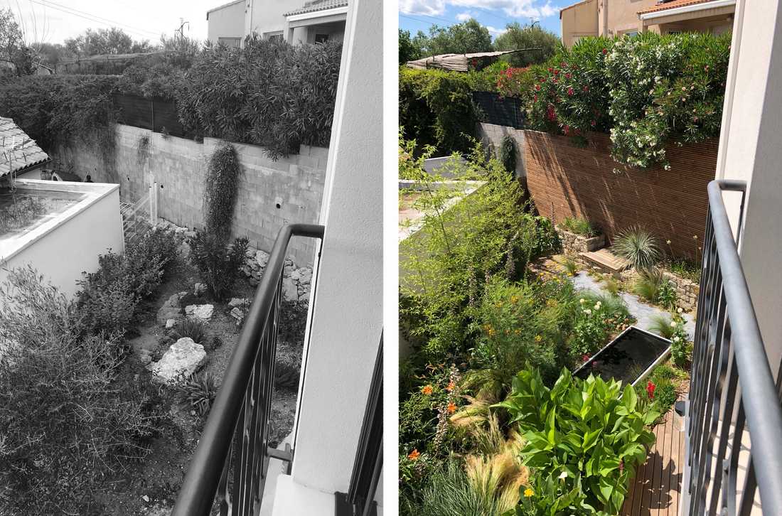 Aménagement extérieur d'un micro-jardin par un architecte paysagiste