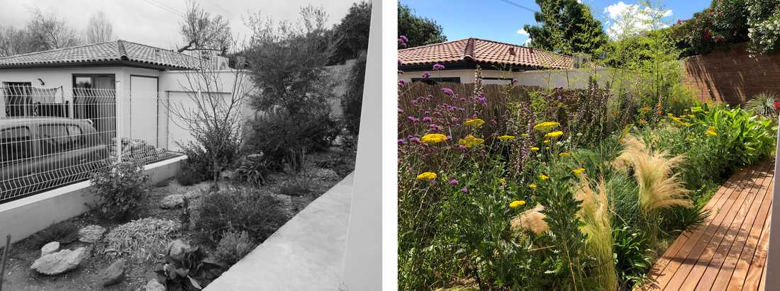 Avant-après de l'aménagement d'une petit jardin dans un lotissement par un paysagiste en Loire Atlantique