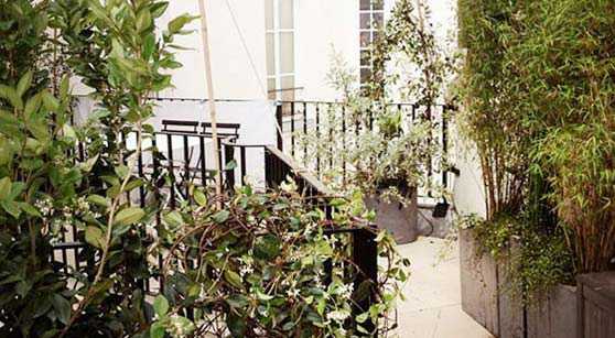 Photos avant - aprés de l'aménagement d'une terrasse à Nantes par un jardinier paysagiste
