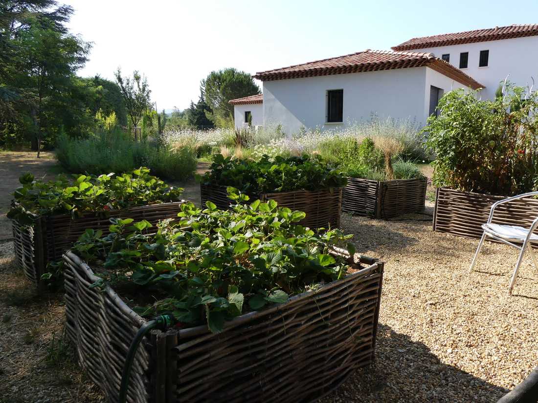 Potager en carré d'osier