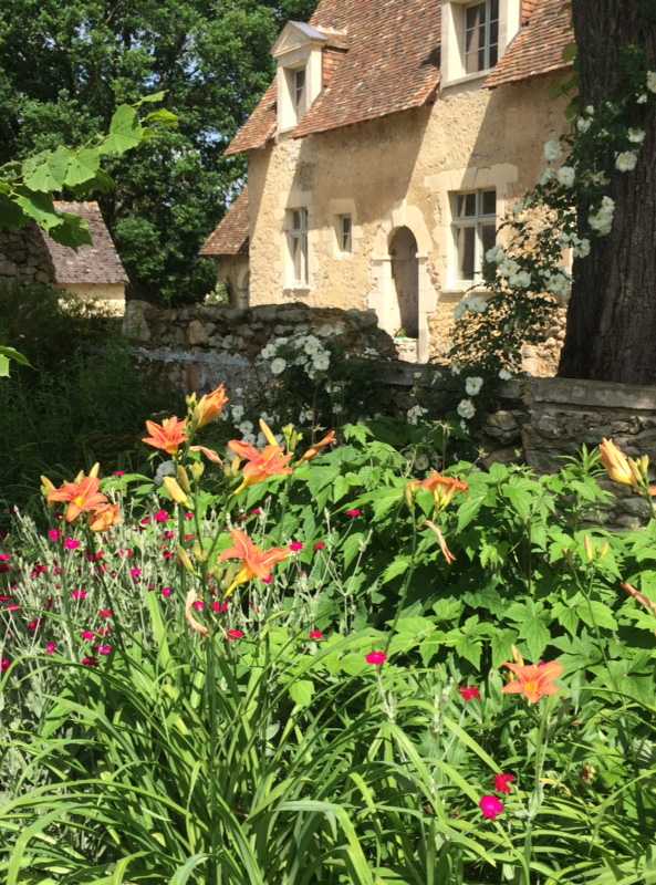 Fleurs d'orangés dans un jardin en Loire Atlantique