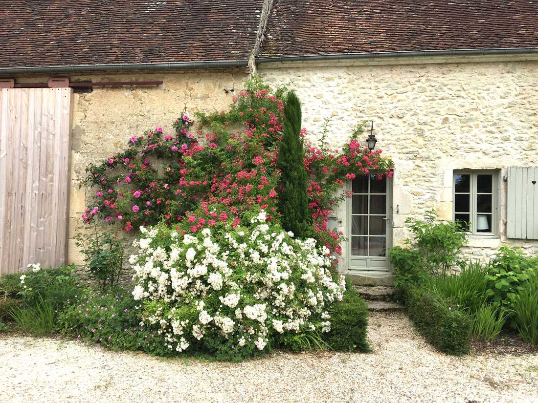 Jardin d'une maison ancienne à Nantes